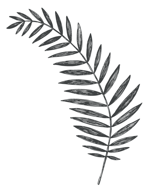 Blatt_8erDorm pyjama - park - hamburg - hotel