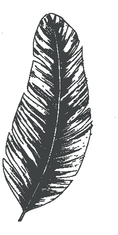 Feder@300x pyjama - park - hamburg - hotel