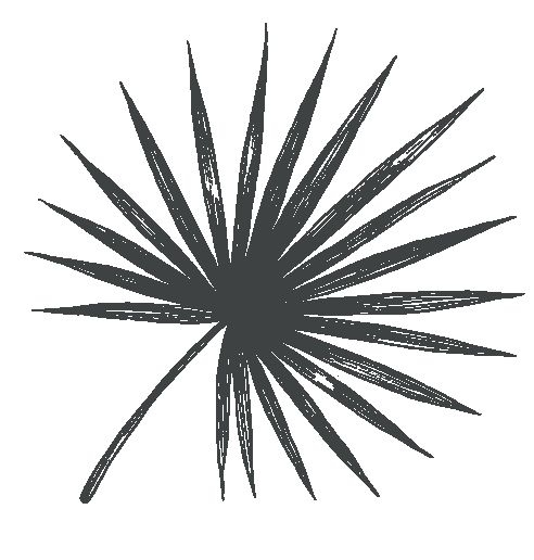 Zeichenfläche 1@300x pyjama - park - hamburg - hotel